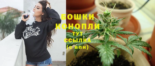 амф Аркадак