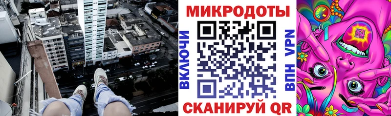 Псилоцибиновые грибы Psilocybe Нерюнгри