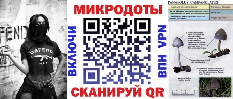 блэк спрут сайт  Нерюнгри  Галлюциногенные грибы MAGIC MUSHROOMS 