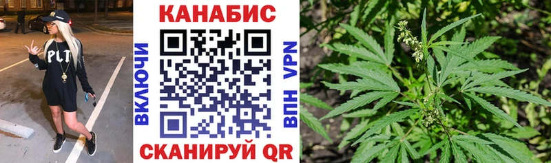 Бошки Шишки план  Нерюнгри 